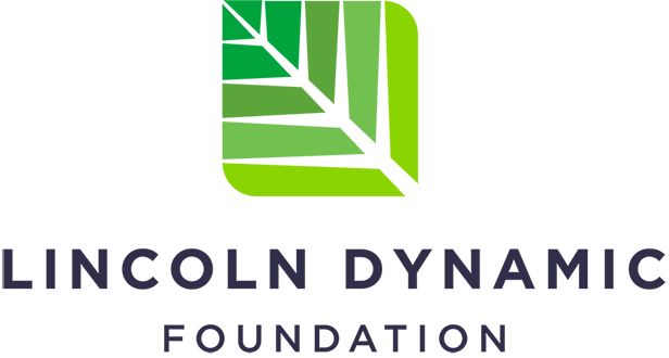 logo-lincolndynamic